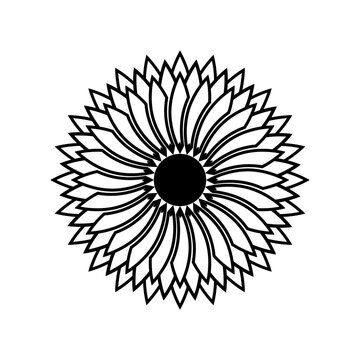 Black line sunflower blooming flower outline icon vector design