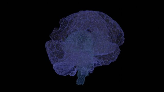brain model fading in gradually showing dots and polygons