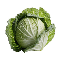 Obraz premium cabbage isolated on white background