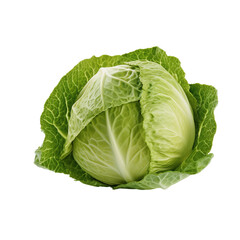 Obraz premium cabbage isolated on white background