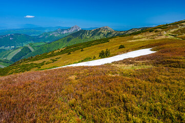 Colorful spring mountain landscape of the Mala Fatra, Slovakia.