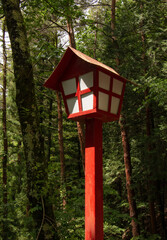 red lantern in the woods
