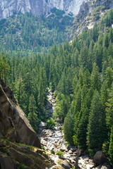 Fototapeta na wymiar View of the green trees inside Yosemite National Park in California