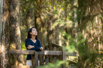 Fototapeta premium Asian woman in the forest