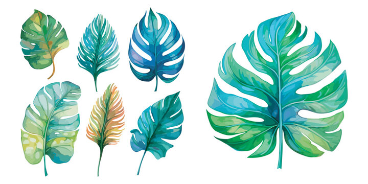 watercolor monstera clipart for graphic resources