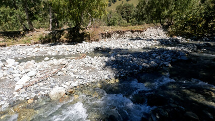 pretty fast mountain stream with clear water at summer day - photo of nature