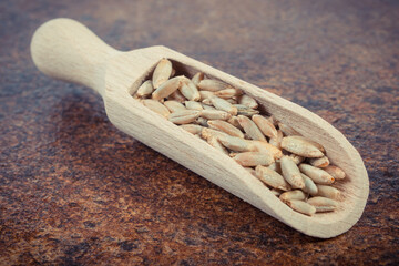 Rye grain with spoon on old rustic background. Agriculture