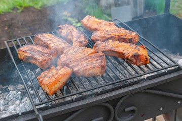 Barbecue. Meat on the grill is fried on coals in the haze of the fire