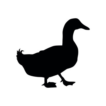 recommend clip art: duck silhouette