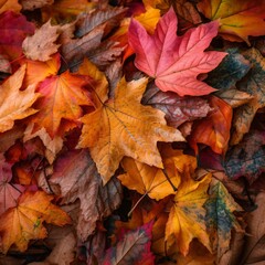 Naklejka na ściany i meble autumn maple leaves on the ground created with Generative AI technology