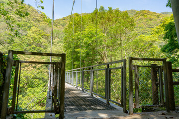 Fototapeta premium 照葉大吊橋坂遊歩道のかじかつり橋の風景（綾町）