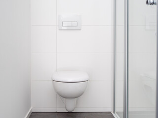 Fototapeta na wymiar Toilet bowl in a modern bathroom. Toilet close-up.