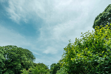 春、初夏、夏の晴天の空とさわやかな雲 夏休み・ゴールデンウィーク・観光・旅行・アウトドア・洗濯のイメージ背景