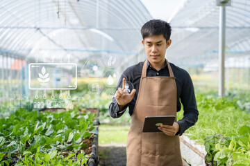 Agriculture uses production control tablets to monitor quality vegetables at greenhouse. Smart farmer using a technology for studying.