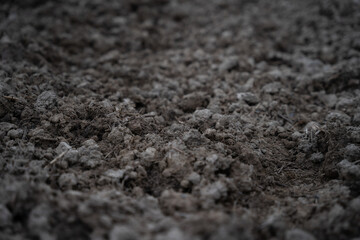 Dried cracked earth soil ground texture background.