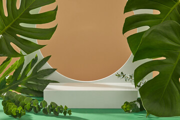 Natural scene with many fresh tropical leaves decorated around the podium. Modern minimal showcase...