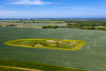 Naklejka premium Agricultural landscapes in northern Germany in summer