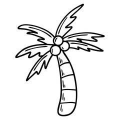 coconut tree. summer vacation icon