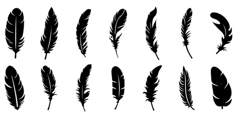 Fototapeta na wymiar Feather icons. Set of black feather icons isolated. Feather silhouettes.