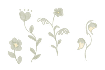 Botanicals