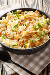 Krautfleckerl Austrian Noodles with Cabbage closeup on the bowl on the table. Vertical