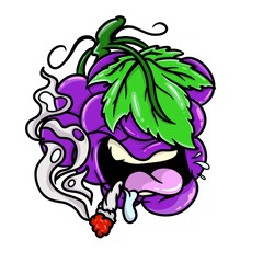 Logo mascot fruit cartoon character