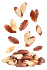 Levitation of brazil nuts isolated on transparent background.