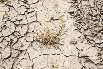champs agriculture environnement climat planete secheresse chaleur cereale culture terre Wallonie