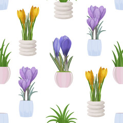 Vector watercolor drawing of purple and yellow crocuses with green tubercles with grass