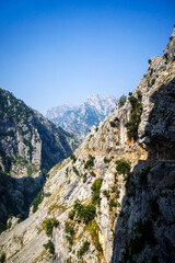 Fototapeta premium Cares trail - ruta del Cares - in Picos de Europa, Asturias, Spain