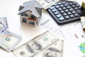 accountant working on Income tax forms or on budget planning with currency notes, calculator and house 3d Model