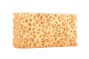 Sponge Bone Structure Medical Texture Block. 3d Rendering