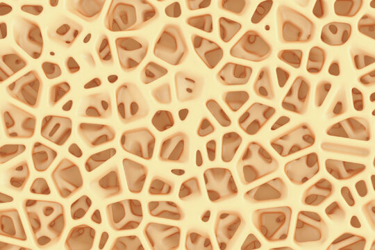Sponge Bone Structure Medical Texture Background. 3d Rendering