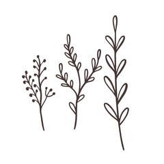 Fototapeta na wymiar Single line floral branches set. Line art drawing vector art illustration.