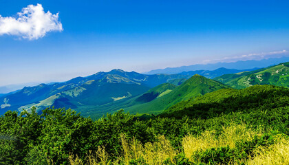 Obraz premium Landscape in summer with trees and meadows in bright sunshine 