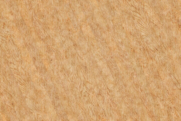 birch wood timber background texture surface backdrop