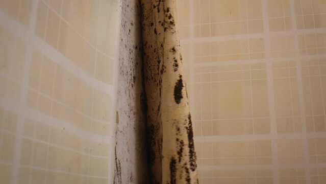 Push-in close-up of wallpaper with black mold being loosened from wall