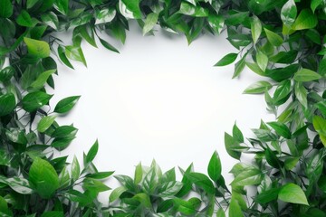 Fototapeta premium Green leaves frame. Generate Ai