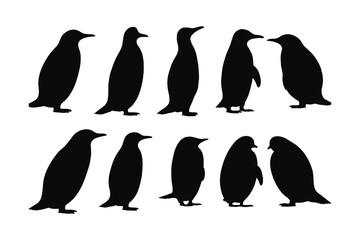 Cute penguin standing silhouette set on a white background. Wild flightless bird silhouette bundle design. Herbivorous penguins standing in different positions. Penguin full body silhouette collection
