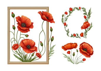 Poppy flowers watercolor floral decoration with frame. Handdrawn red flower vector illustration.
