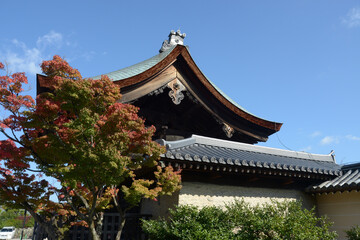 Fototapeta premium 天龍寺 中門 京都市右京区嵯峨