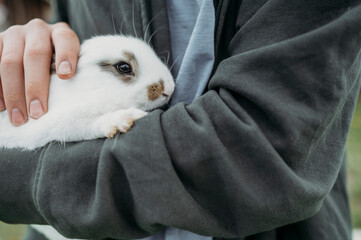 Man carrying cute white rabbit