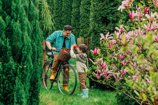 Father giving pomegranate to son from bicycle basket in garden