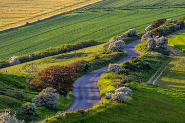 Fototapeta na wymiar Looking down at a country road in the South Downs, with farmland surrounding