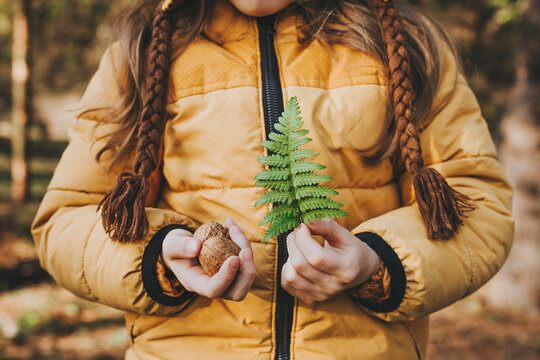 Girl holding nuts and fern in forest