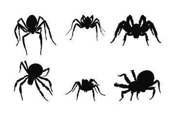 Dangerous tarantula spiders silhouette bundle. Wild insects sitting in different positions. Spider full body silhouette collection. Furry spiders and insects sitting, silhouettes on a white background
