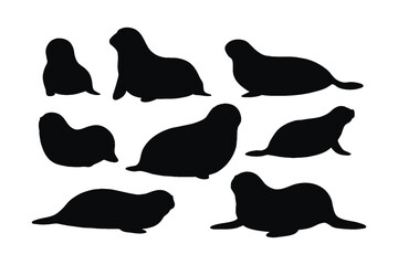 Cute seals silhouette bundle design. Wild sea lions sitting in different positions. Seals full body silhouette collection. Big sea creatures and sea lions sitting, silhouettes on a white background.