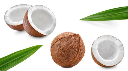 Coconut collection Clipping Path. Coconut isolated on white background. Coconut studio macro...