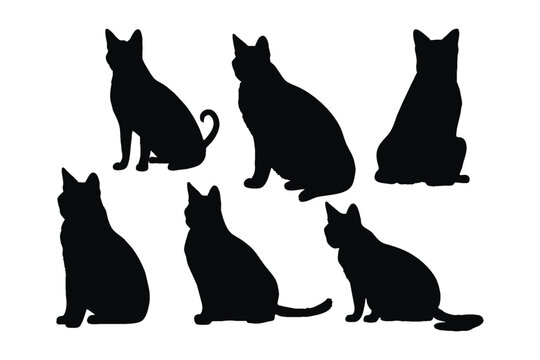 Cute Siamese cats silhouette bundle design. Domestic cats sitting in different positions. Cat full body silhouette collection. Cute cats and feline sitting, silhouettes on a white background.