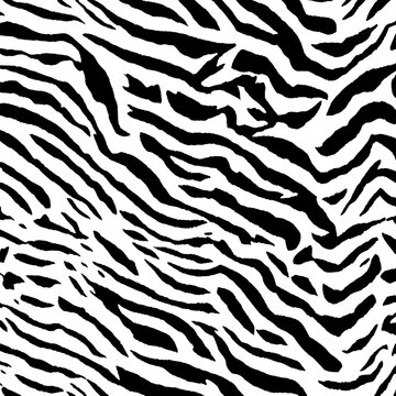 African zebra skin striped motif. Zebra-striped texture for fashion design